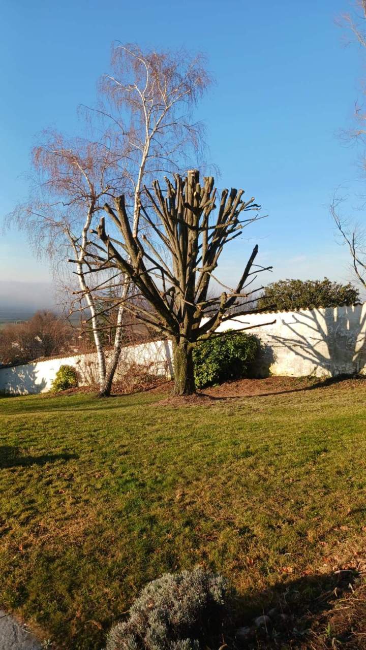 Entretien Espaces verts - Elagage – La Tour-du-Pin